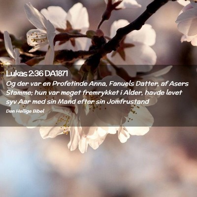 Picture 02 - Lukas 2:36 DA1871 - Og der var en Profetinde Anna, Fanuels Datter, af - Bible Verse Picture