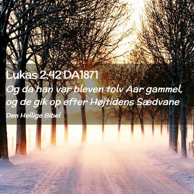 Picture 02 - Lukas 2:42 DA1871 - Og da han var bleven tolv Aar gammel, og de gik - Bible Verse Picture