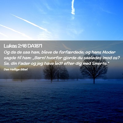 Picture 02 - Lukas 2:48 DA1871 - Og da de saa ham, bleve de forfærdede; og hans - Bible Verse Picture