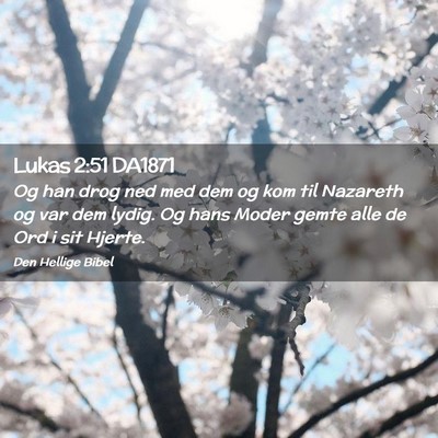Picture 02 - Lukas 2:51 DA1871 - Og han drog ned med dem og kom til Nazareth og - Bible Verse Picture