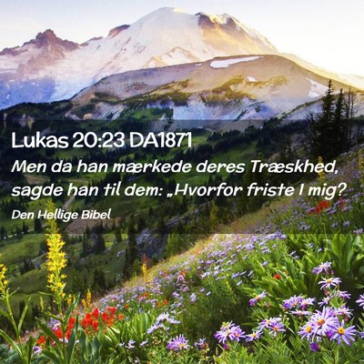 Picture 02 - Lukas 20:23 DA1871 - Men da han mærkede deres Træskhed, sagde han - Bible Verse Picture