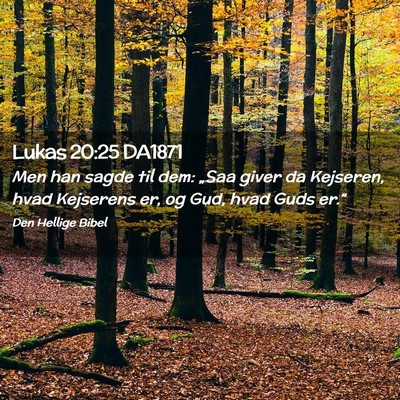 Picture 02 - Lukas 20:25 DA1871 - Men han sagde til dem: „Saa giver da Kejseren, - Bible Verse Picture