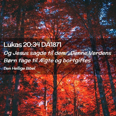 Picture 02 - Lukas 20:34 DA1871 - Og Jesus sagde til dem: „Denne Verdens Børn - Bible Verse Picture