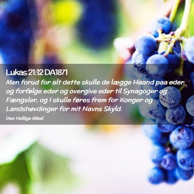 Picture 02 - Lukas 21:12 DA1871 - Men forud for alt dette skulle de lægge Haand - Bible Verse Picture