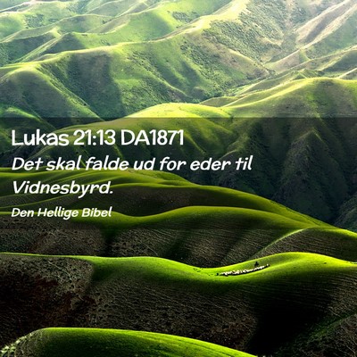 Picture 02 - Lukas 21:13 DA1871 - Det skal falde ud for eder til - Bible Verse Picture