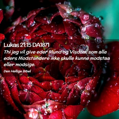 Picture 02 - Lukas 21:15 DA1871 - Thi jeg vil give eder Mund og Visdom, som alle - Bible Verse Picture