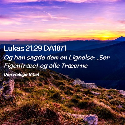 Picture 02 - Lukas 21:29 DA1871 - Og han sagde dem en Lignelse: „Ser Figentræet - Bible Verse Picture