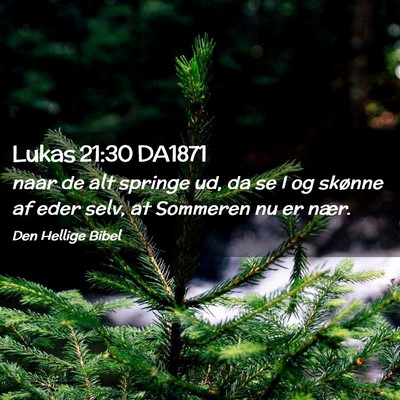 Picture 02 - Lukas 21:30 DA1871 - naar de alt springe ud, da se I og skønne af - Bible Verse Picture