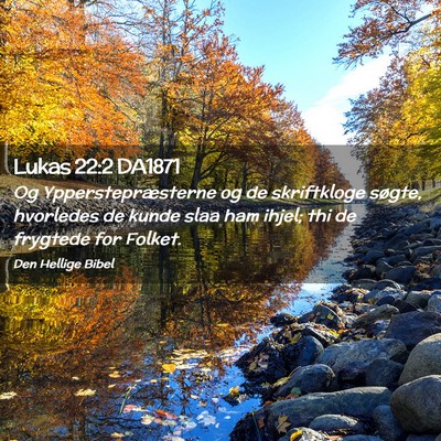 Picture 02 - Lukas 22:2 DA1871 - Og Ypperstepræsterne og de skriftkloge søgte, - Bible Verse Picture