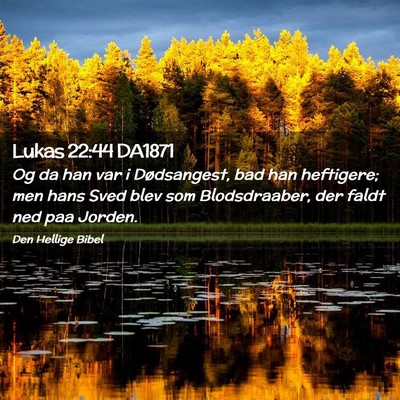 Picture 02 - Lukas 22:44 DA1871 - Og da han var i Dødsangest, bad han heftigere; - Bible Verse Picture