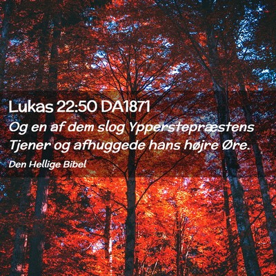 Picture 02 - Lukas 22:50 DA1871 - Og en af dem slog Ypperstepræstens Tjener og - Bible Verse Picture