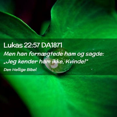 Picture 02 - Lukas 22:57 DA1871 - Men han fornægtede ham og sagde: „Jeg kender - Bible Verse Picture