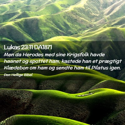 Picture 02 - Lukas 23:11 DA1871 - Men da Herodes med sine Krigsfolk havde haanet og - Bible Verse Picture
