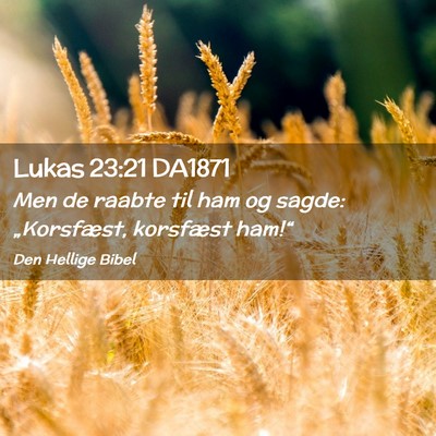 Picture 02 - Lukas 23:21 DA1871 - Men de raabte til ham og sagde: „Korsfæst, - Bible Verse Picture