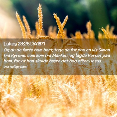 Picture 02 - Lukas 23:26 DA1871 - Og da de førte ham bort, toge de fat paa en vis - Bible Verse Picture