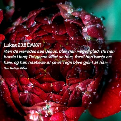 Picture 02 - Lukas 23:8 DA1871 - Men da Herodes saa Jesus, blev han meget glad; - Bible Verse Picture