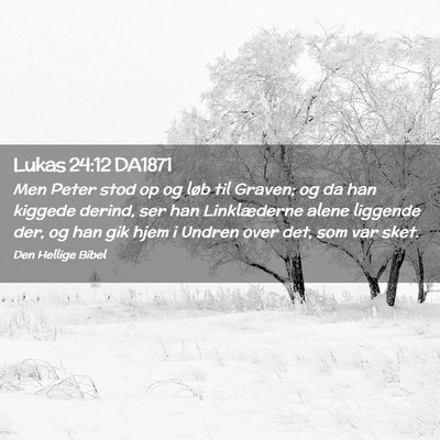 Picture 02 - Lukas 24:12 DA1871 - Men Peter stod op og løb til Graven; og da han - Bible Verse Picture
