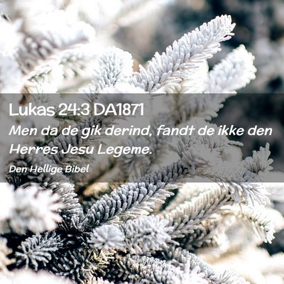 Picture 02 - Lukas 24:3 DA1871 - Men da de gik derind, fandt de ikke den Herres - Bible Verse Picture