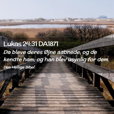 Picture 02 - Lukas 24:31 DA1871 - Da bleve deres Øjne aabnede, og de kendte ham; - Bible Verse Picture