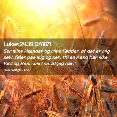 Picture 02 - Lukas 24:39 DA1871 - Ser mine Hænder og mine Fødder, at det er mig - Bible Verse Picture