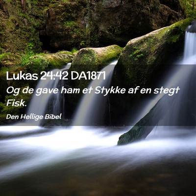 Picture 02 - Lukas 24:42 DA1871 - Og de gave ham et Stykke af en stegt - Bible Verse Picture
