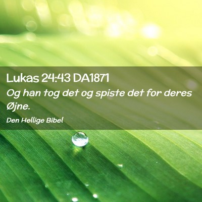 Picture 02 - Lukas 24:43 DA1871 - Og han tog det og spiste det for deres - Bible Verse Picture