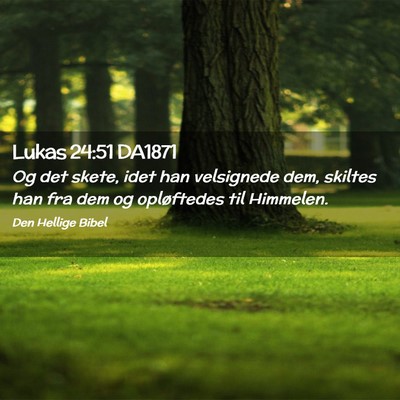 Picture 02 - Lukas 24:51 DA1871 - Og det skete, idet han velsignede dem, skiltes - Bible Verse Picture