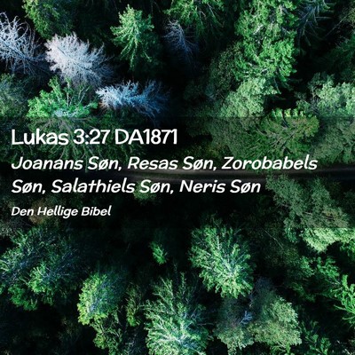 Picture 02 - Lukas 3:27 DA1871 - Joanans Søn, Resas Søn, Zorobabels Søn, - Bible Verse Picture