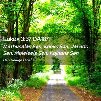 Picture 02 - Lukas 3:37 DA1871 - Methusalas Søn, Enoks Søn, Jareds Søn, - Bible Verse Picture