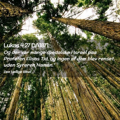 Picture 02 - Lukas 4:27 DA1871 - Og der var mange spedalske i Israel paa Profeten - Bible Verse Picture