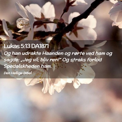 Picture 02 - Lukas 5:13 DA1871 - Og han udrakte Haanden og rørte ved ham og - Bible Verse Picture