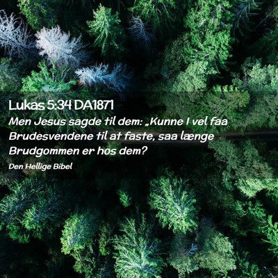 Picture 02 - Lukas 5:34 DA1871 - Men Jesus sagde til dem: „Kunne I vel faa - Bible Verse Picture