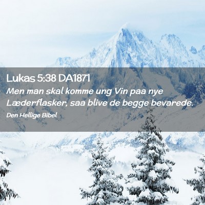 Picture 02 - Lukas 5:38 DA1871 - Men man skal komme ung Vin paa nye Læderflasker, - Bible Verse Picture