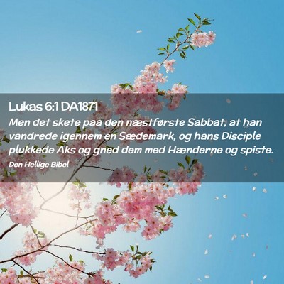 Picture 02 - Lukas 6:1 DA1871 - Men det skete paa den næstførste Sabbat, at han - Bible Verse Picture