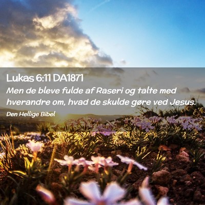 Picture 02 - Lukas 6:11 DA1871 - Men de bleve fulde af Raseri og talte med - Bible Verse Picture