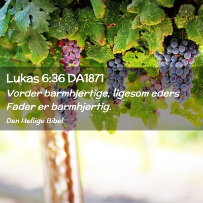 Picture 02 - Lukas 6:36 DA1871 - Vorder barmhjertige, ligesom eders Fader er - Bible Verse Picture