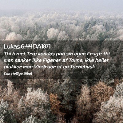 Picture 02 - Lukas 6:44 DA1871 - Thi hvert Træ kendes paa sin egen Frugt; thi man - Bible Verse Picture