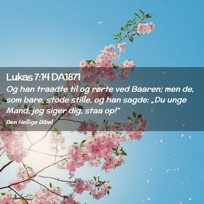 Picture 02 - Lukas 7:14 DA1871 - Og han traadte til og rørte ved Baaren; men de, - Bible Verse Picture