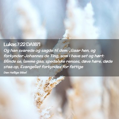 Picture 02 - Lukas 7:22 DA1871 - Og han svarede og sagde til dem: „Gaar hen, og - Bible Verse Picture