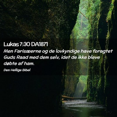 Picture 02 - Lukas 7:30 DA1871 - Men Farisæerne og de lovkyndige have foragtet - Bible Verse Picture