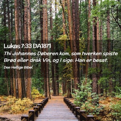 Picture 02 - Lukas 7:33 DA1871 - Thi Johannes Døberen kom, som hverken spiste - Bible Verse Picture