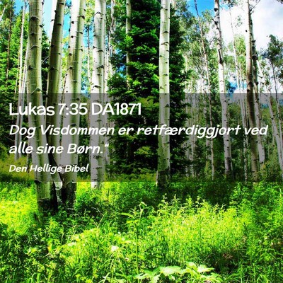 Picture 02 - Lukas 7:35 DA1871 - Dog Visdommen er retfærdiggjort ved alle sine - Bible Verse Picture