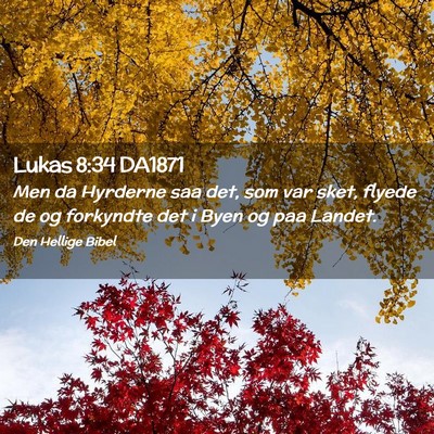 Picture 02 - Lukas 8:34 DA1871 - Men da Hyrderne saa det, som var sket, flyede de - Bible Verse Picture