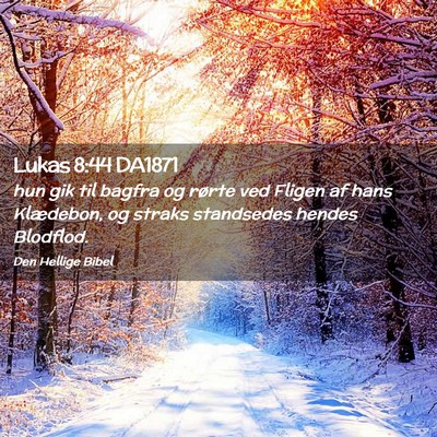 Picture 02 - Lukas 8:44 DA1871 - hun gik til bagfra og rørte ved Fligen af hans - Bible Verse Picture