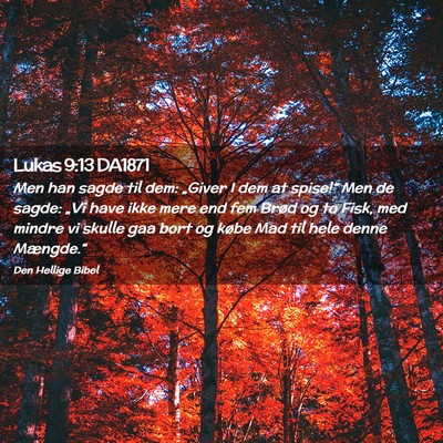 Picture 02 - Lukas 9:13 DA1871 - Men han sagde til dem: „Giver I dem at - Bible Verse Picture