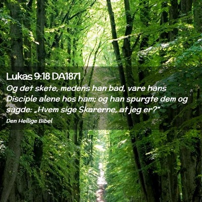 Picture 02 - Lukas 9:18 DA1871 - Og det skete, medens han bad, vare hans Disciple - Bible Verse Picture