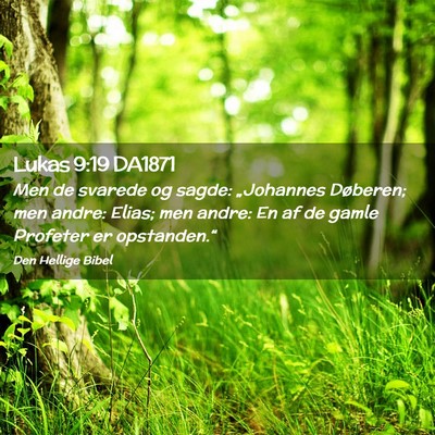 Picture 02 - Lukas 9:19 DA1871 - Men de svarede og sagde: „Johannes Døberen; - Bible Verse Picture