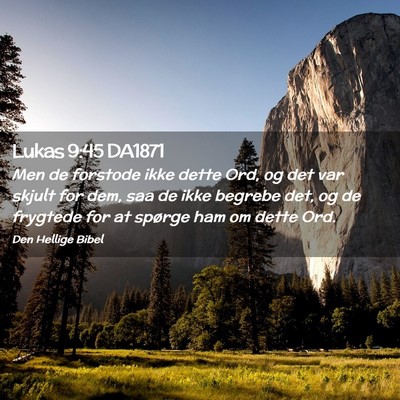 Picture 02 - Lukas 9:45 DA1871 - Men de forstode ikke dette Ord, og det var skjult - Bible Verse Picture