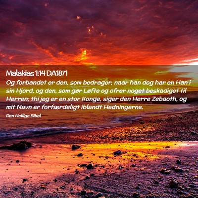 Picture 02 - Malakias 1:14 DA1871 - Og forbandet er den, som bedrager, naar han dog - Bible Verse Picture