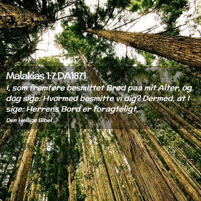 Picture 02 - Malakias 1:7 DA1871 - I, som fremføre besmittet Brød paa mit Alter, - Bible Verse Picture